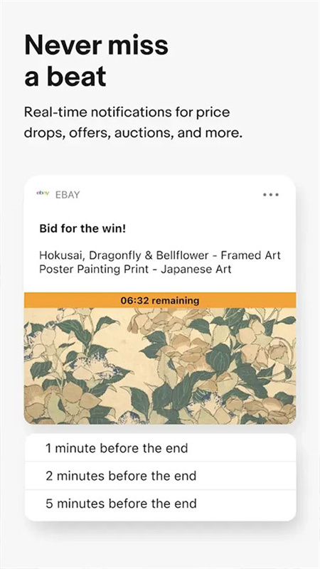 eBay截图1