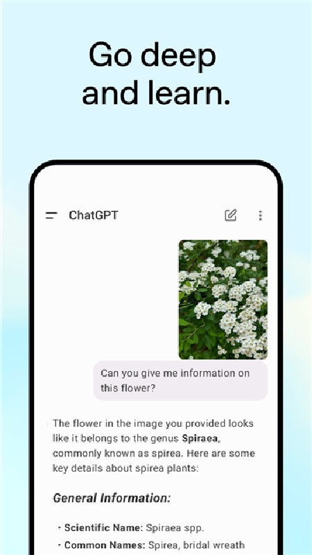 CHATGPT中文免费版3