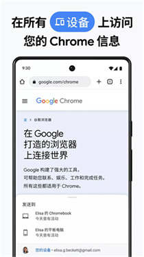 谷歌浏览器海外版1
