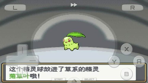口袋妖怪心金银魂截图1