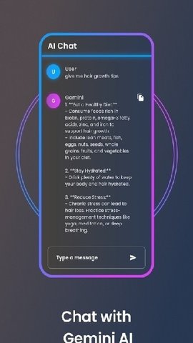 Gemini人工智能截图3