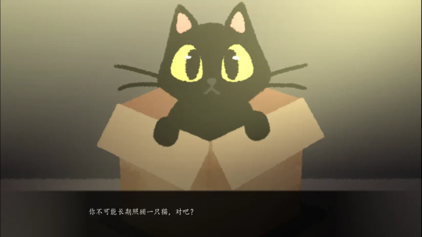 别带这只猫回家3