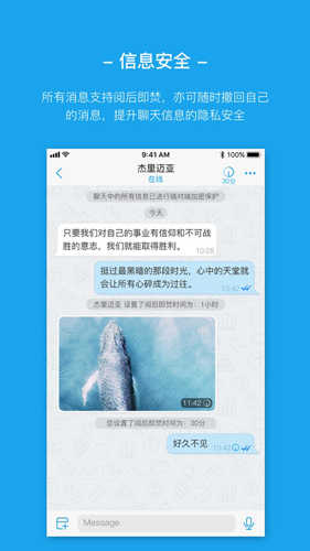 AntMessenger安卓版截图1
