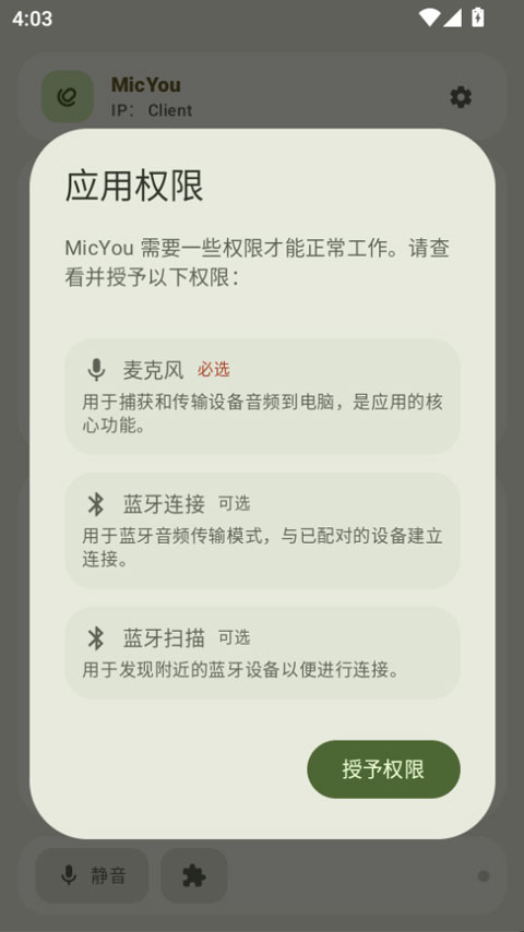 MicYou1