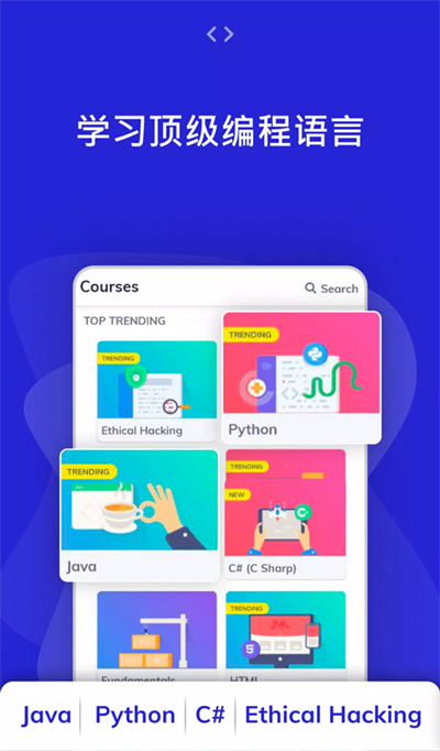 programminghub汉化版截图2