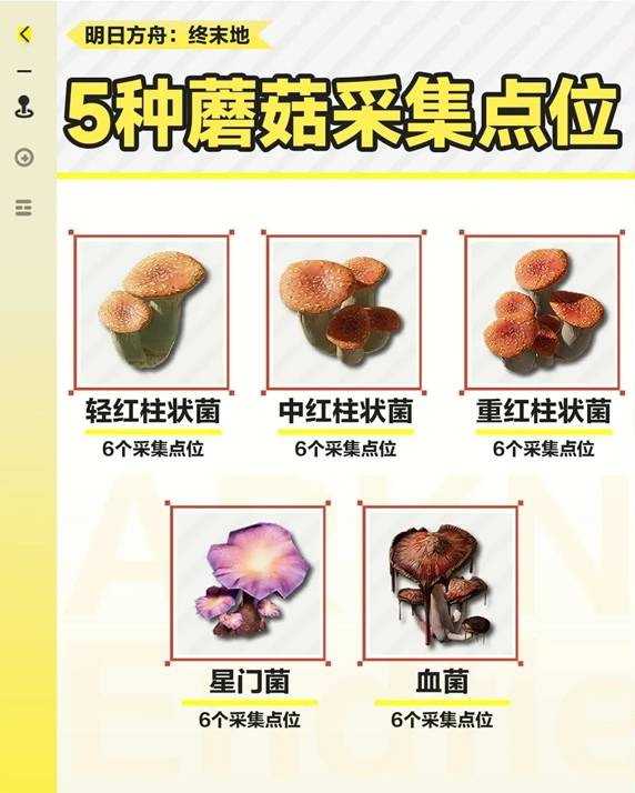明日方舟终末地角色晋升材料采集点位