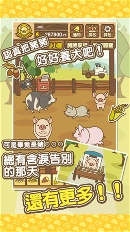 养猪场mix中文版截图3