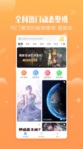 小鸟壁纸app安卓版截图2