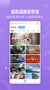 小鸟壁纸app安卓版截图4