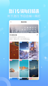 小鸟壁纸app安卓版截图5
