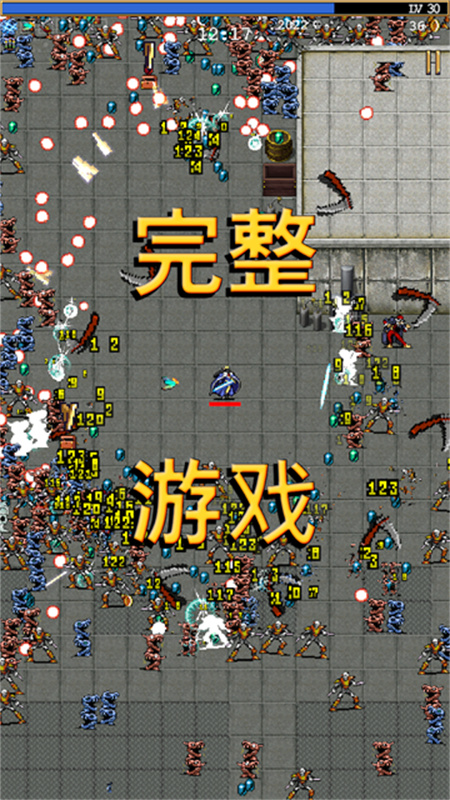 吸血鬼幸存者国际服截图4