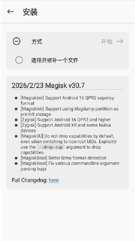 magisk原版截图4