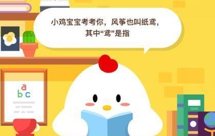 风筝也叫纸鸢其中鸢是指
