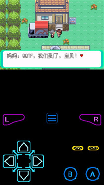 口袋妖怪漆黑的魅影金手指截图3