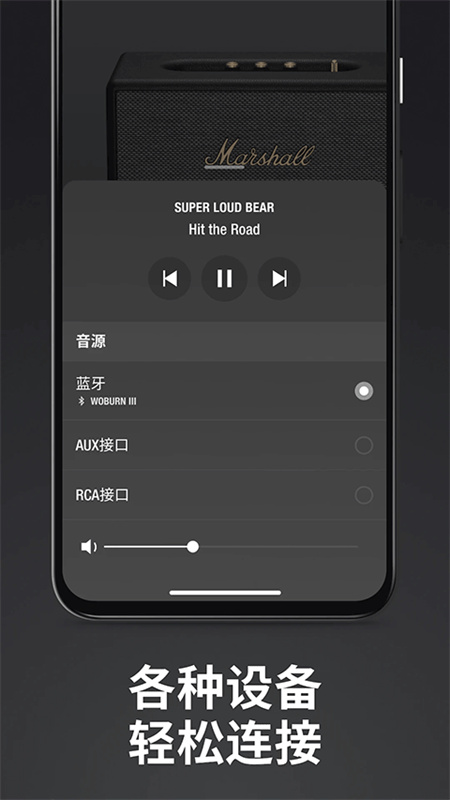 Marshall Bluetooth截图3