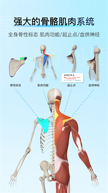 解剖大师app截图2