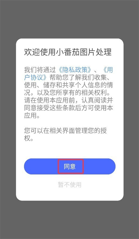 小番茄截图2